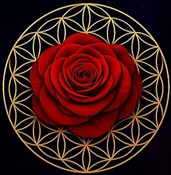 CasaMãe🌹